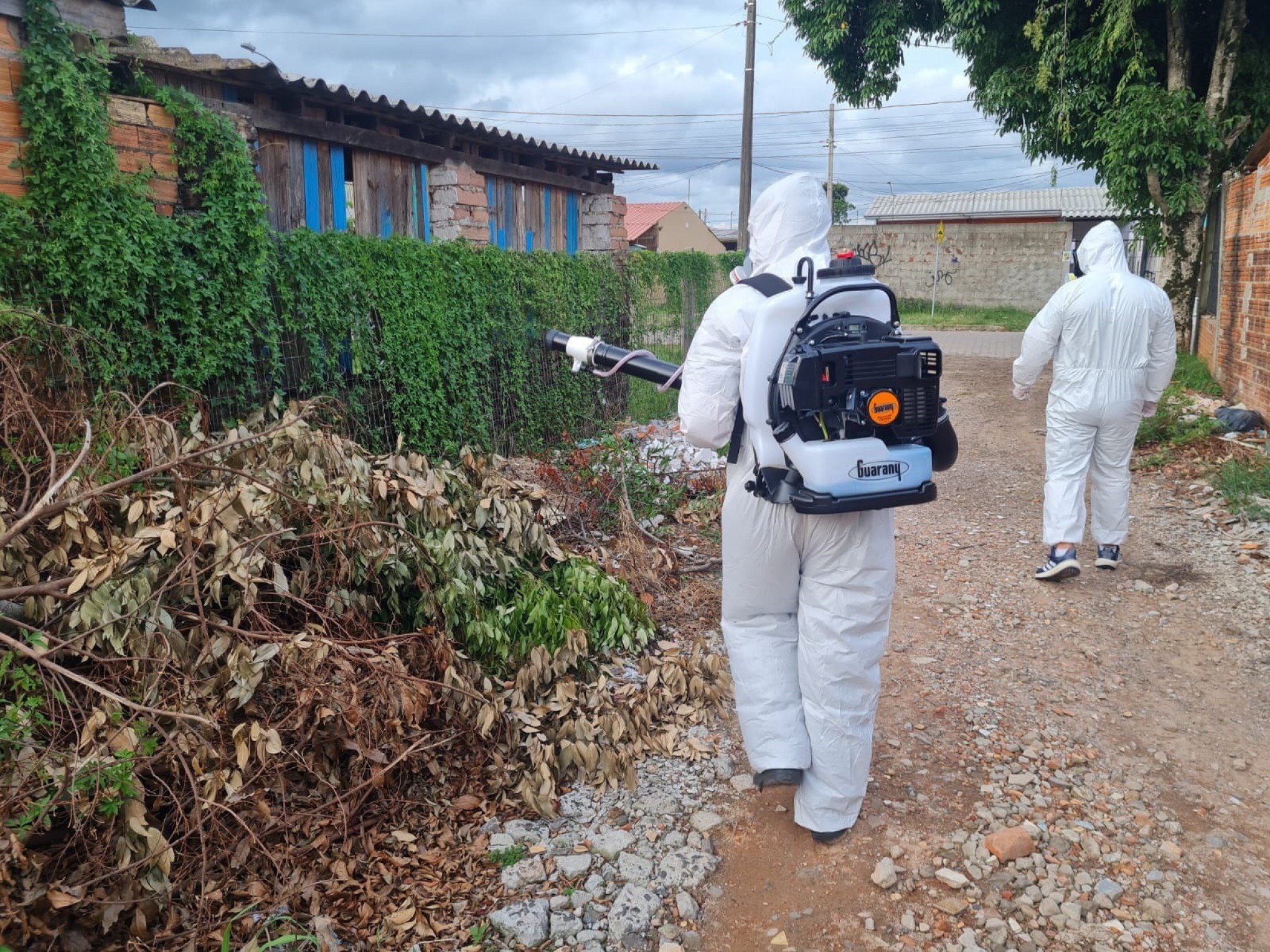 São Leopoldo já contabiliza mais de 300 casos de dengue; quase metade em apenas um bairro