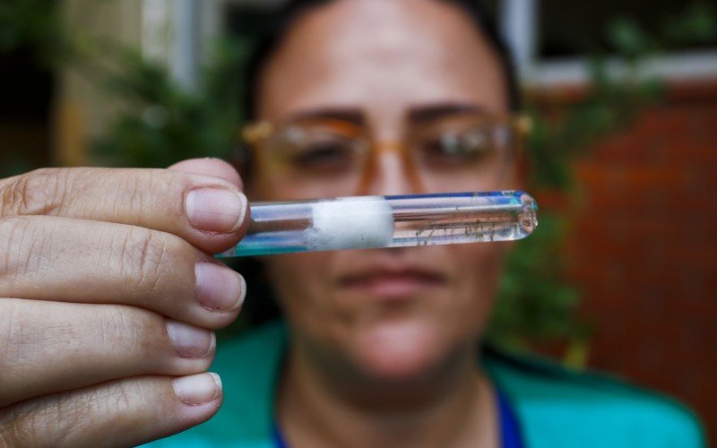 Larvas de mosquitos | abc+