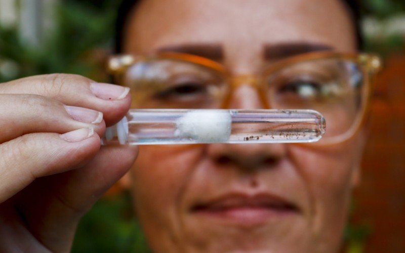 Combate ao mosquito se torna ainda mais urgente