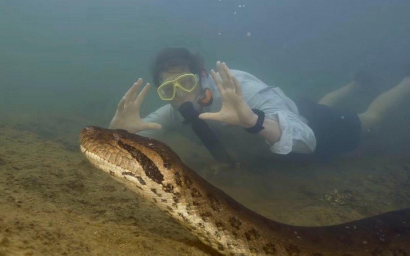 Freek Vonk - Apresentador holandês nada com cobra gigante na Amazônia  | abc+