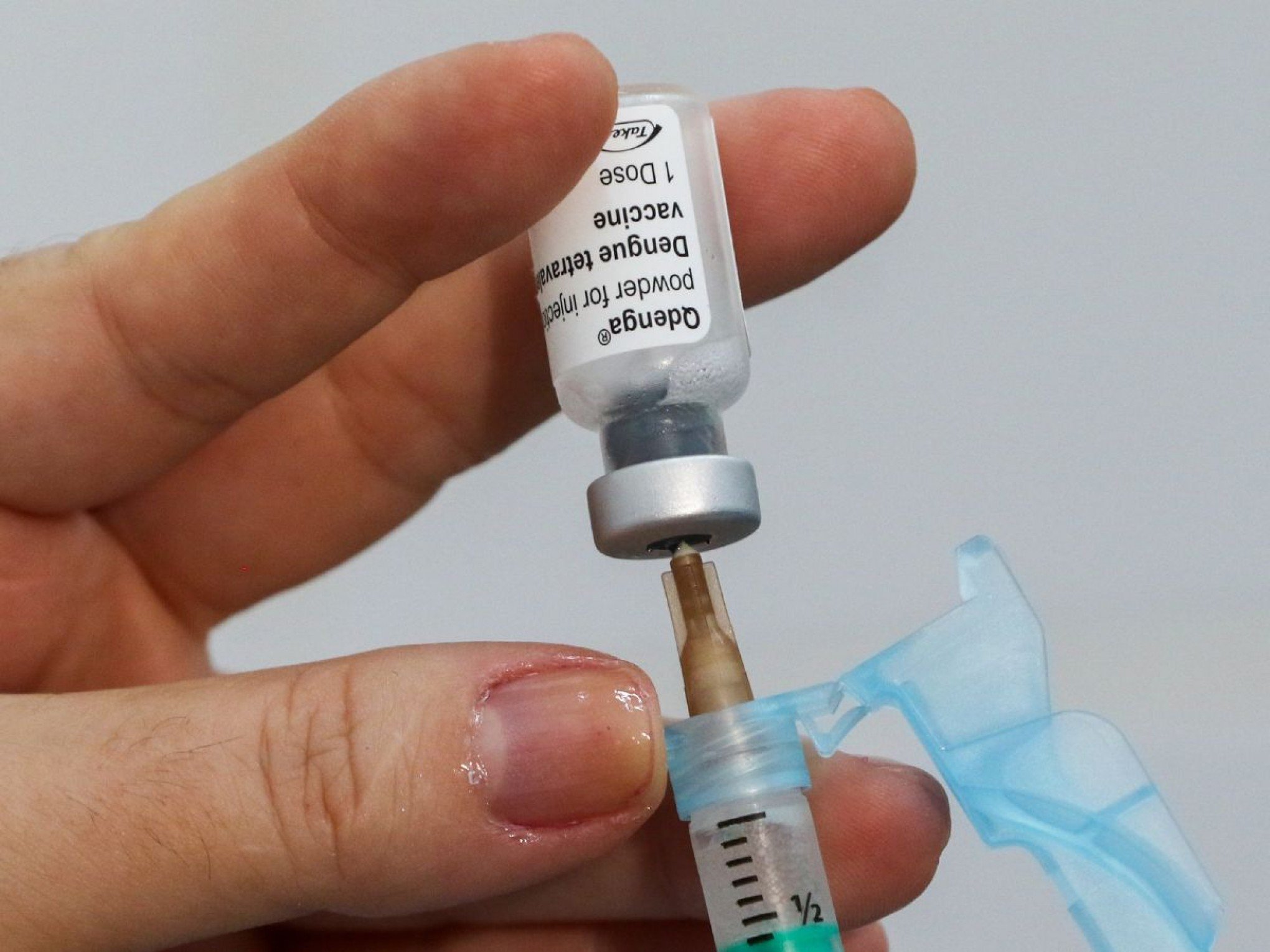 DENGUE: Idosos não podem tomar vacina da dengue? Saiba mais