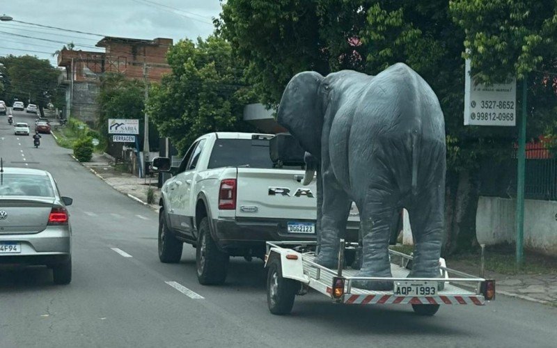 Elefante circulando pelas ruas de Novo Hamburgo  | abc+