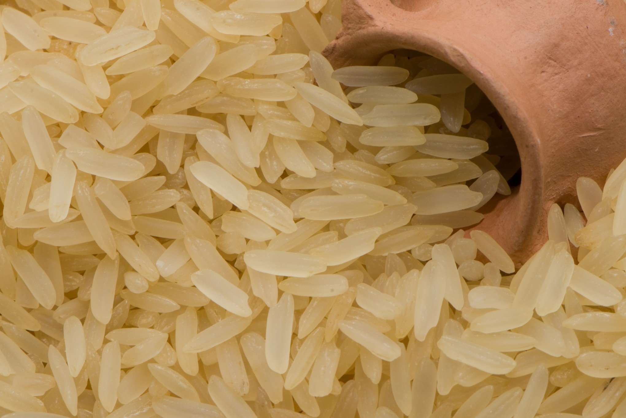 Para evitar alta de preços, Brasil vai importar  1 milhão de toneladas de arroz