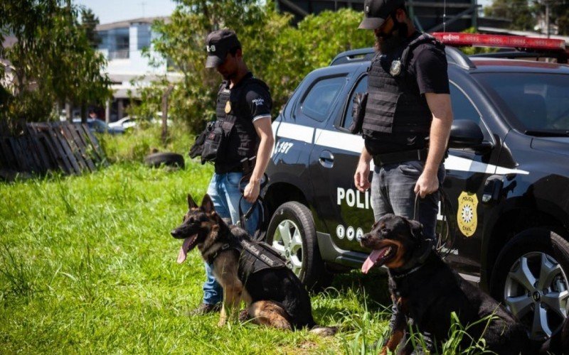 Cães do Projeto K9 servem como suporte para diversas operações policiais da cidade e da região  | abc+