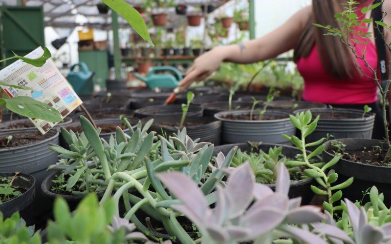 Alunos aprenderÃ£o o manejo da terra, entre outras especialidades