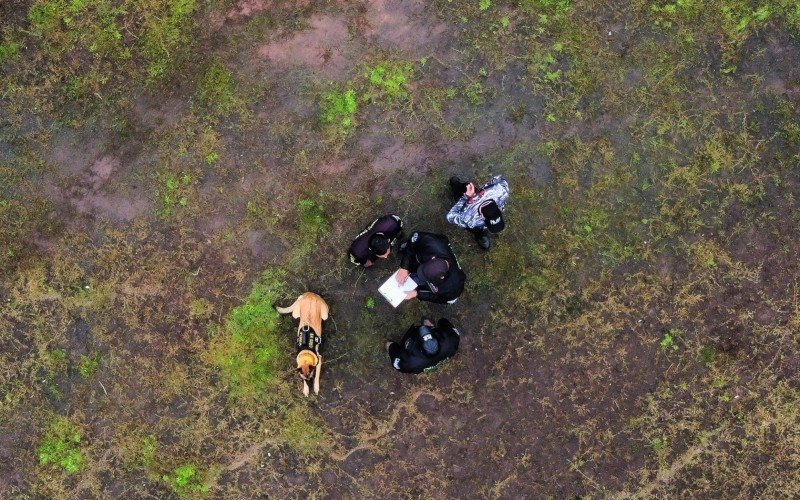 Edição anterior do Torneio Internacional de Cães de Polícia, em Sapiranga | abc+