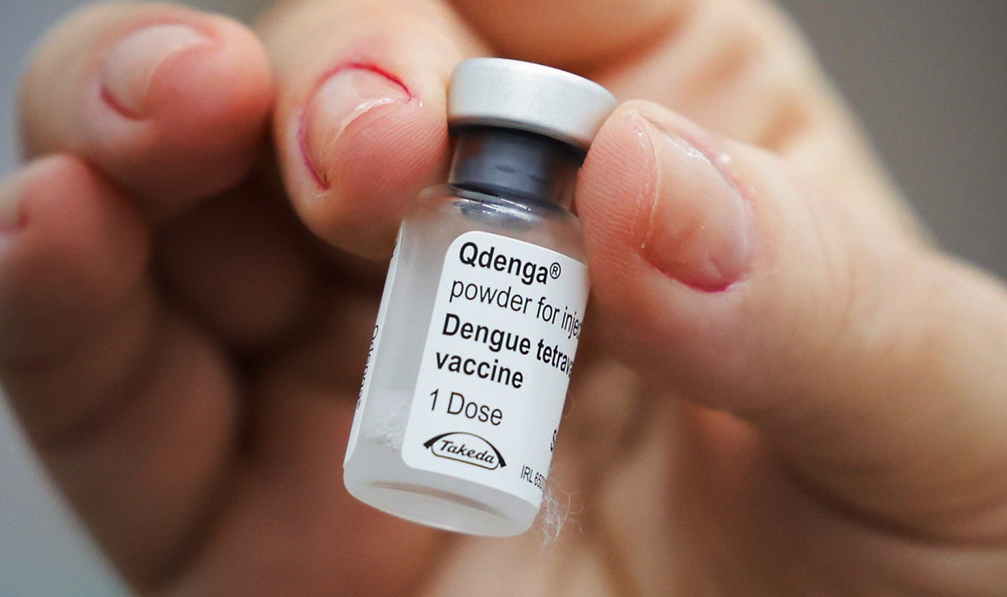 DENGUE: Vacinas no RS? Ministério da Saúde responde se há previsão para receber imunizante