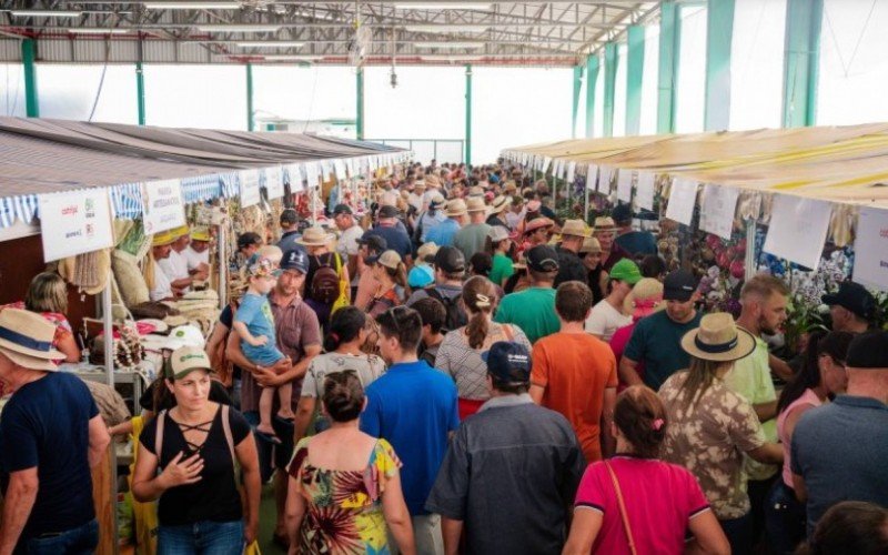 Pavilhão da agricultura familiar na Expodireto 2024 terá quase 200 expositores | abc+