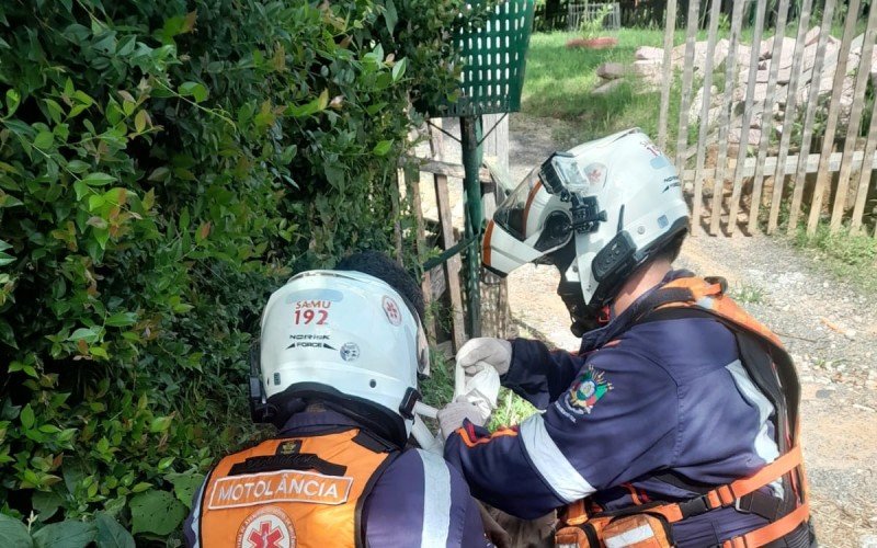 Motorista e passageiros pularam de caminhÃ£o em movimento antes de colisÃ£o em ribanceira. Samu atendeu a ocorrÃªncia