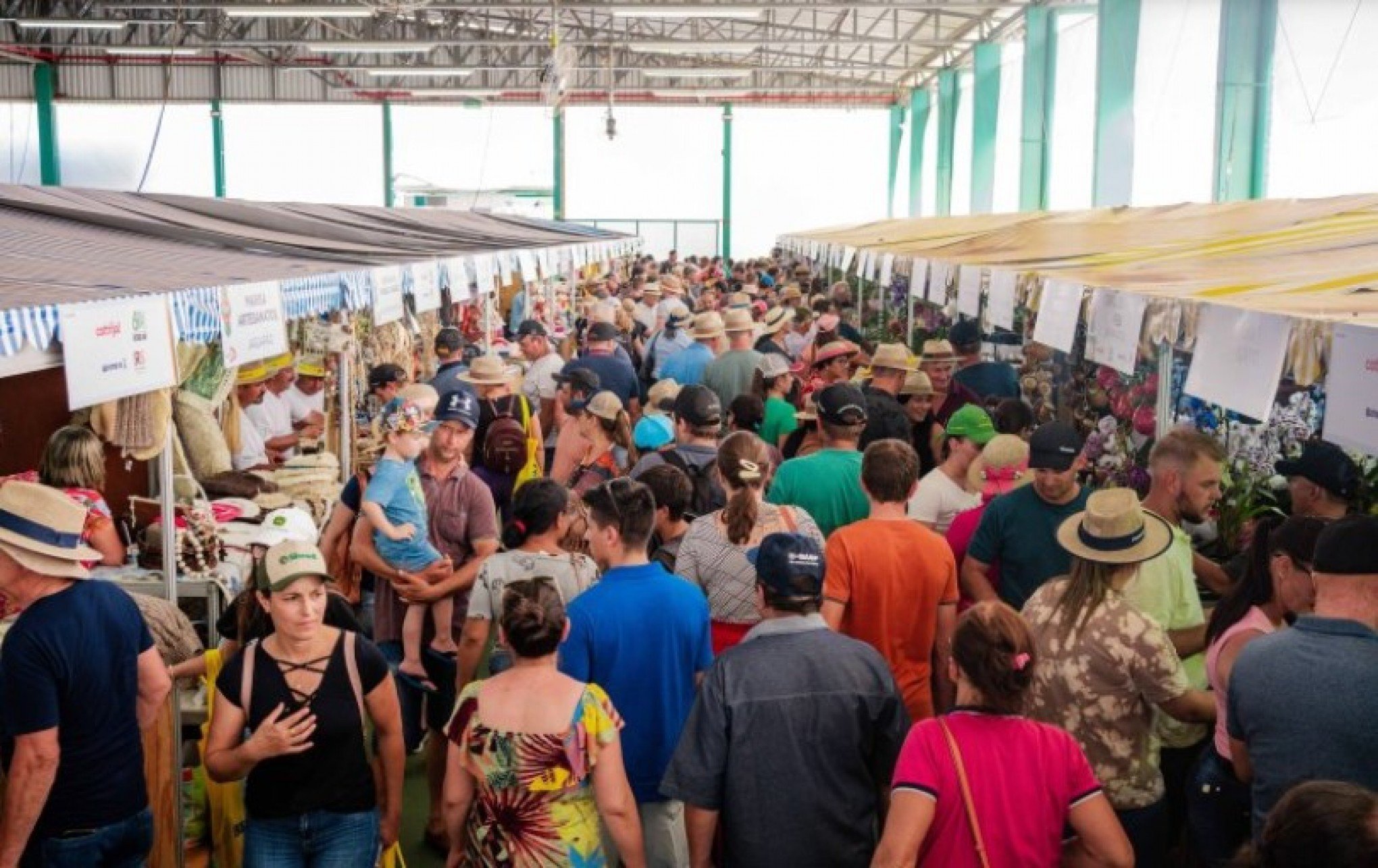 EXPODIRETO: Quando acontece a feira de Não-Me-Toque em 2024? Veja o calendário