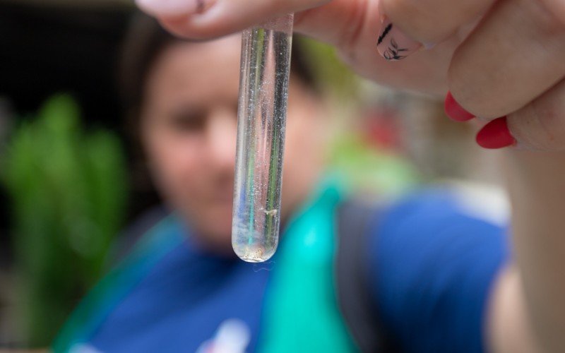Operação contra a dengue intensificada em Canoas