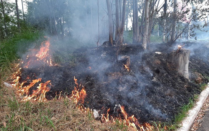 Fogo em mato na esquina da Vereador AdÃ£o Rodrigues de Oliveira com a Rua AraxÃ¡