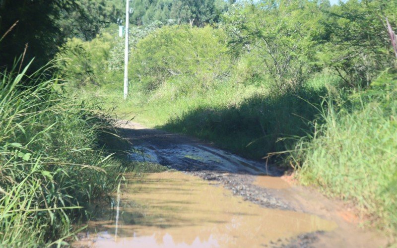 Estrada do Pinheirinho, em Capela de Santana  | abc+