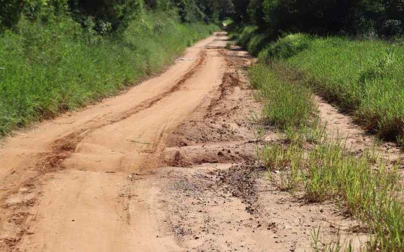 Estrada do Pinheirinho, em Capela de Santana  | abc+