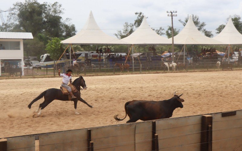 Tiro de laÃ§o faz parte da programaÃ§Ã£o do 44Âº Rodeio de Campo Bom