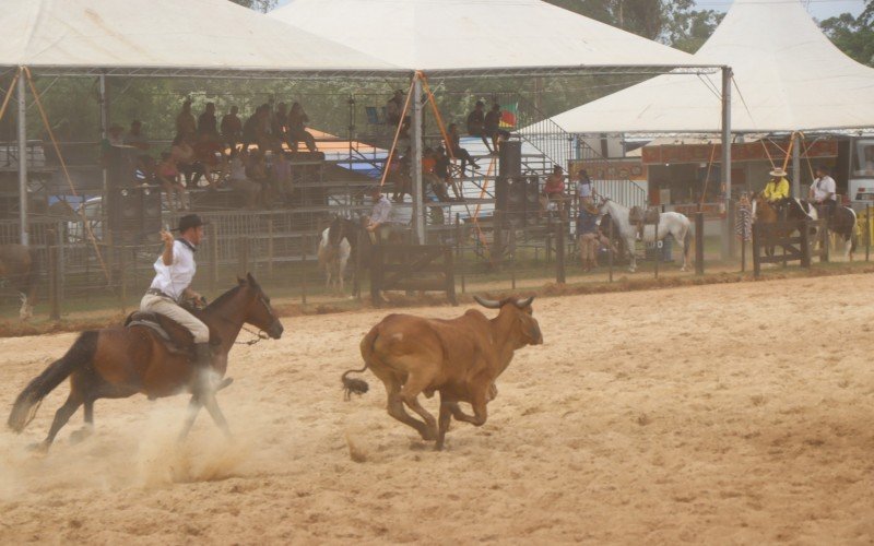 Tiro de laÃ§o faz parte da programaÃ§Ã£o do 44Âº Rodeio de Campo Bom