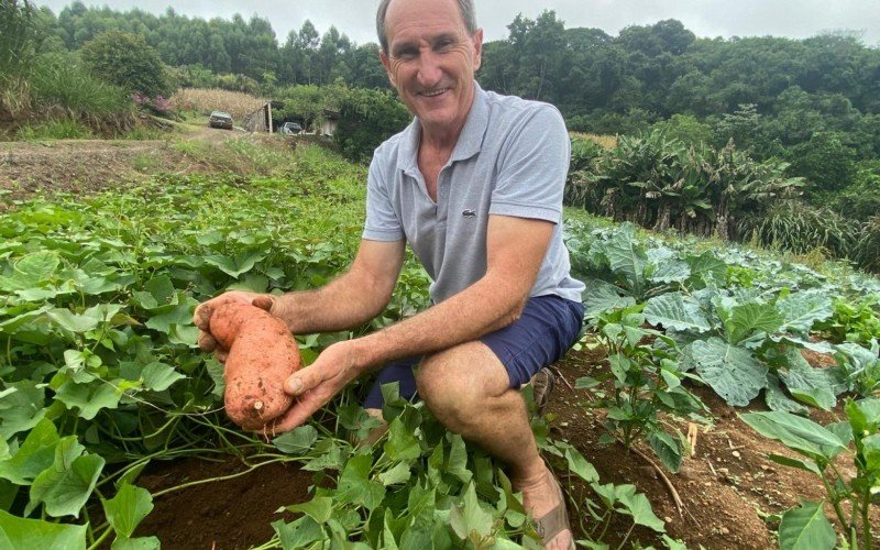 Grande parte do lanche escolar do municÃ­pio Ã© produzido por agricultores da cidade de Dois IrmÃ£os