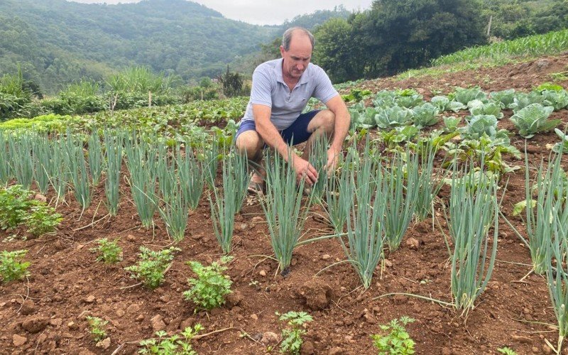 Grande parte do lanche escolar do municÃ­pio Ã© produzido por agricultores da cidade de Dois IrmÃ£os