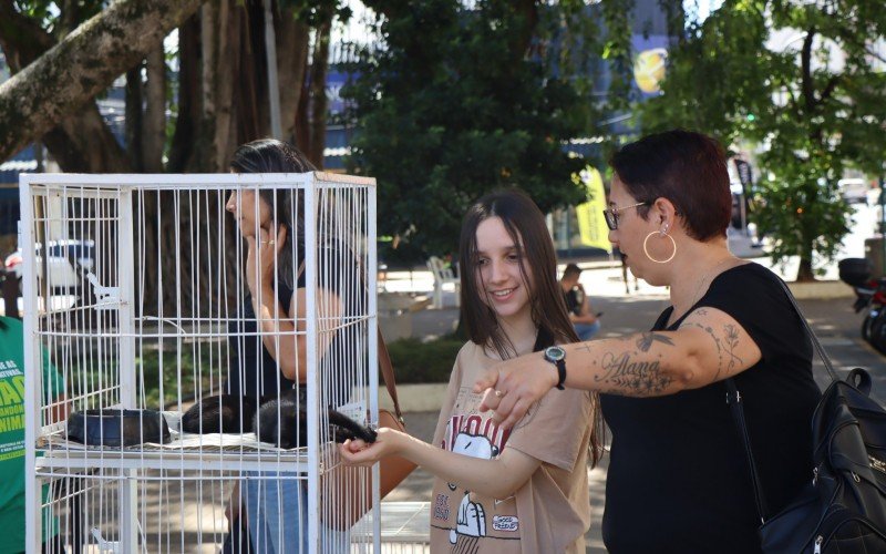  Feira de AdoÃ§Ã£o Itinerante