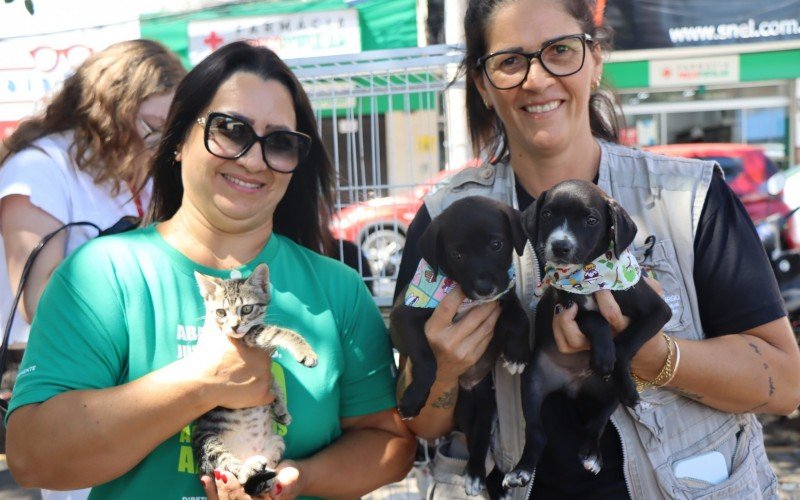  Feira de AdoÃ§Ã£o Itinerante