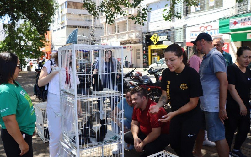  Feira de AdoÃ§Ã£o Itinerante