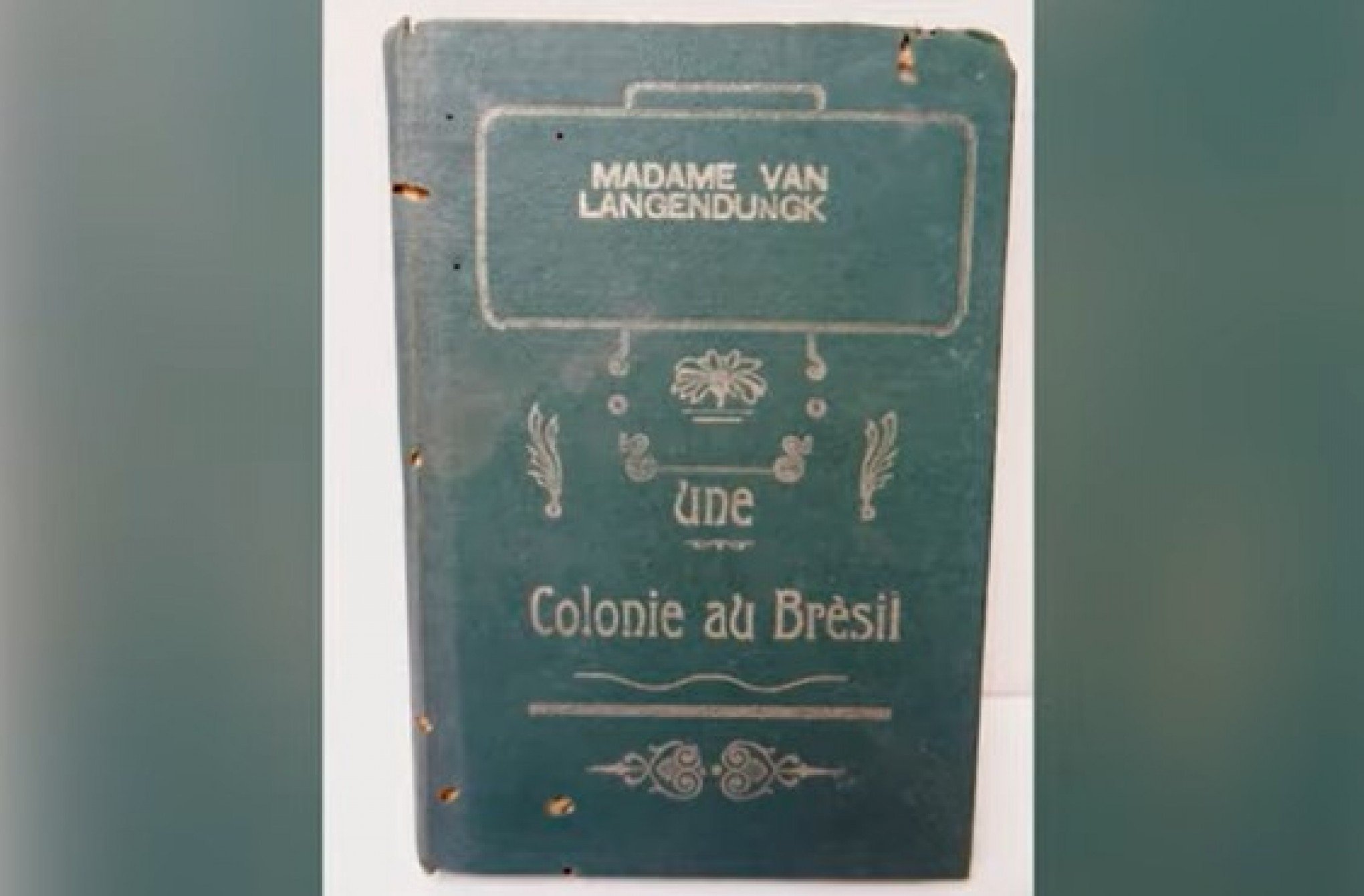 CURIOSIDADES DA IMIGRAÇÃO #60: A escritora belga que domesticou uma onça nos tempos da imigração na região