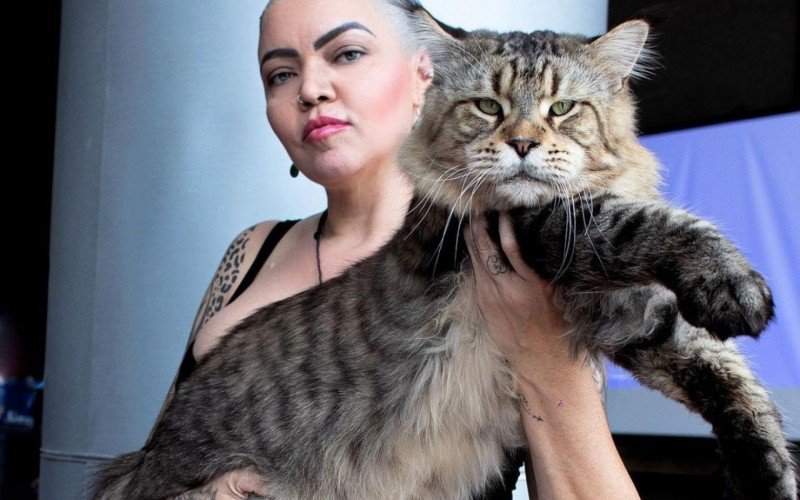 Xartrux, o gato brasileiro que concorre ao posto de maior gato do mundo, posando com a tutora (raça gato maine coon) | abc+