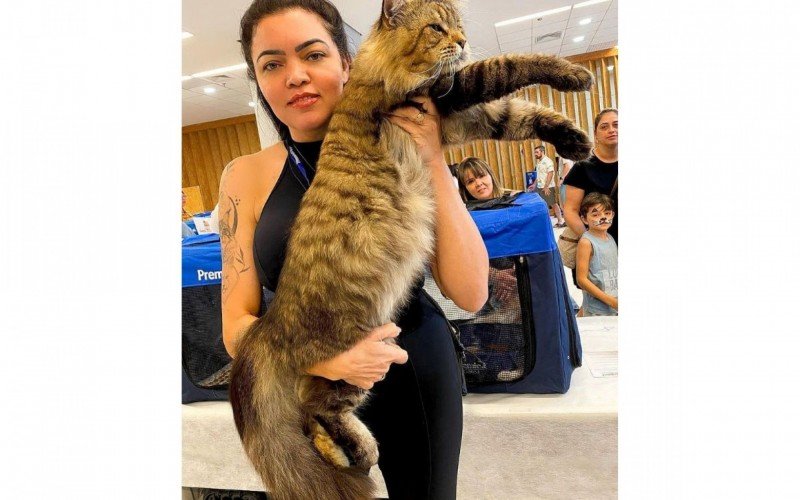 Xartrux, o gato brasileiro que concorre ao posto de maior gato do mundo, posando com a tutora (raÃ§a gato maine coon)