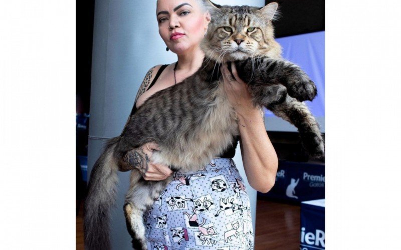 Xartrux, o gato brasileiro que concorre ao posto de maior gato do mundo, posando com a tutora (raÃ§a gato maine coon)