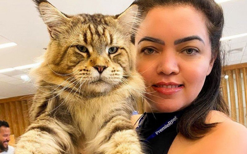 Xartrux, o gato brasileiro que concorre ao posto de maior gato do mundo, posando com a tutora (raÃ§a gato maine coon)