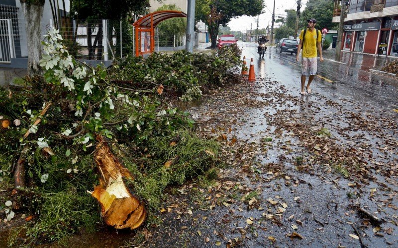 O galho caiu ao lado de uma parada de ônibus, no bairro Rio Branco, na manhã desta sexta-feira (8)