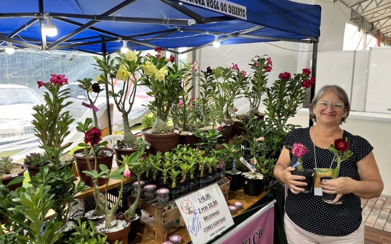 A vendedora da floricultura, Marilane Wasem Pereira, conta que há várias cores de Rosa do Deserto, na Fest Feira Dois Irmãos | abc+