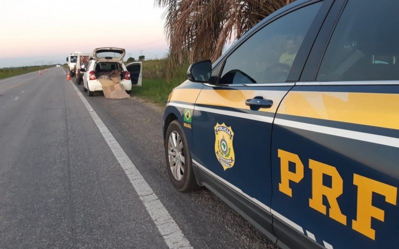 Peixes encontrados impróprios para consumo são encontrados em porta-malas de carro | abc+