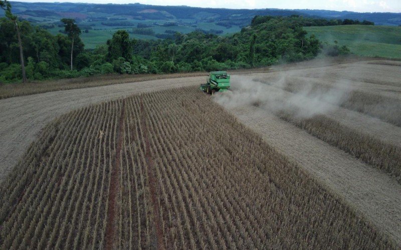 Colheita da soja já começou no município de Tiradentes do Sul | abc+