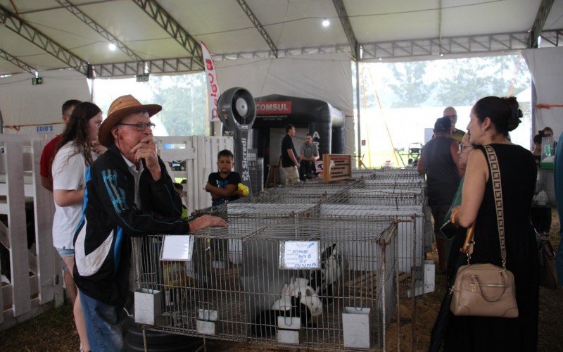 Fest Feira tem atraÃ§Ãµes para toda a famÃ­lia