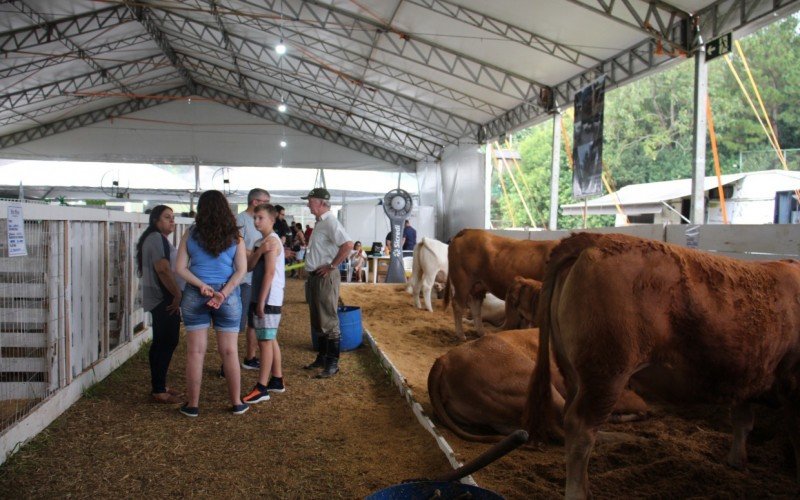 Fest Feira tem atraÃ§Ãµes para toda a famÃ­lia