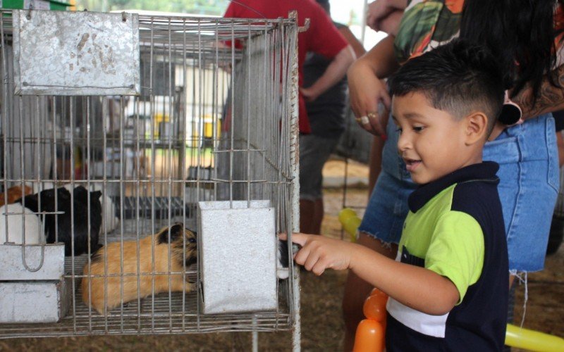 Fest Feira tem atraÃ§Ãµes para toda a famÃ­lia
