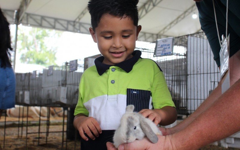 Fest Feira tem atraÃ§Ãµes para toda a famÃ­lia