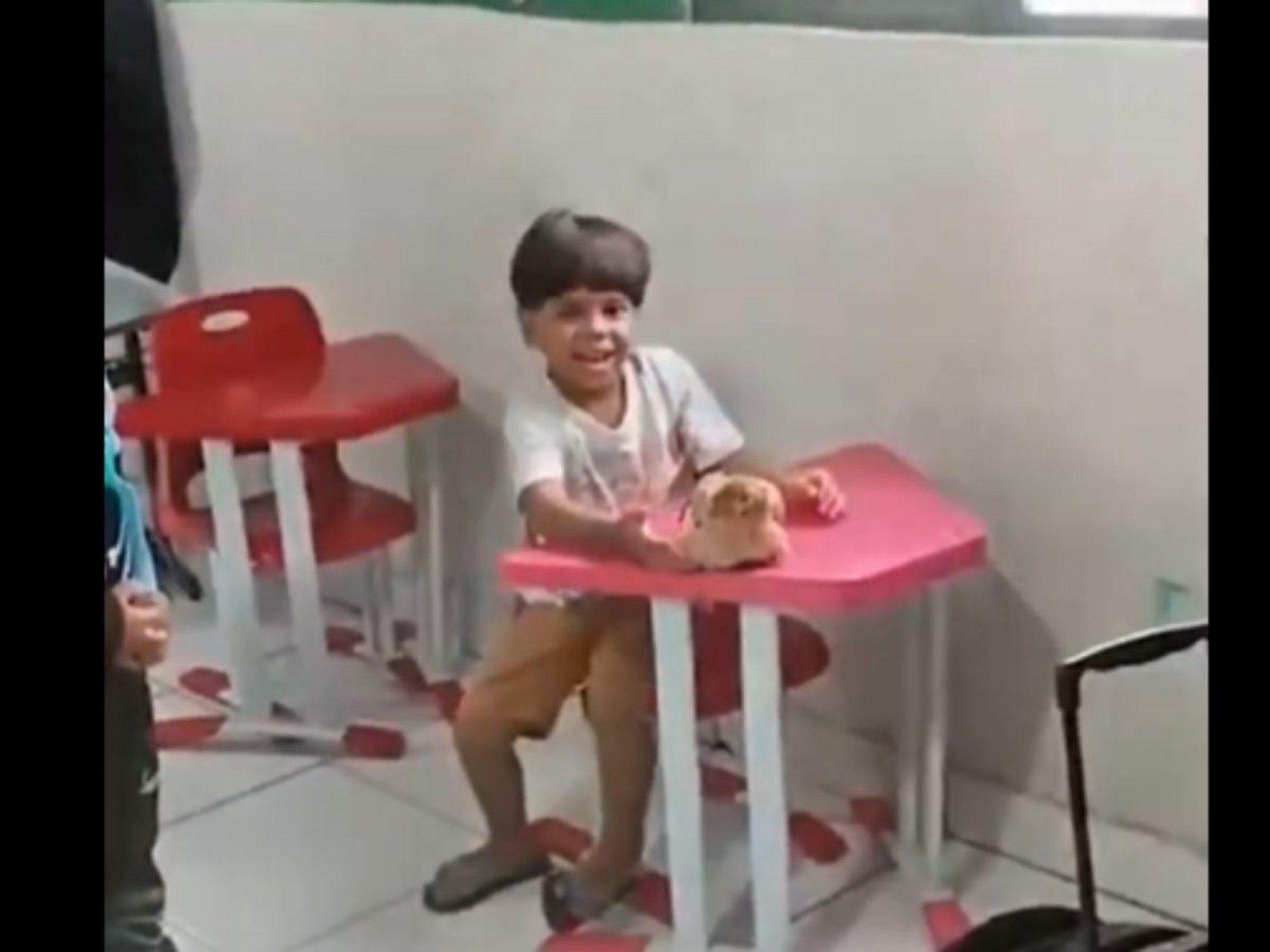 Menino leva galinha escondida na mochila para escola e vídeo viraliza; assista