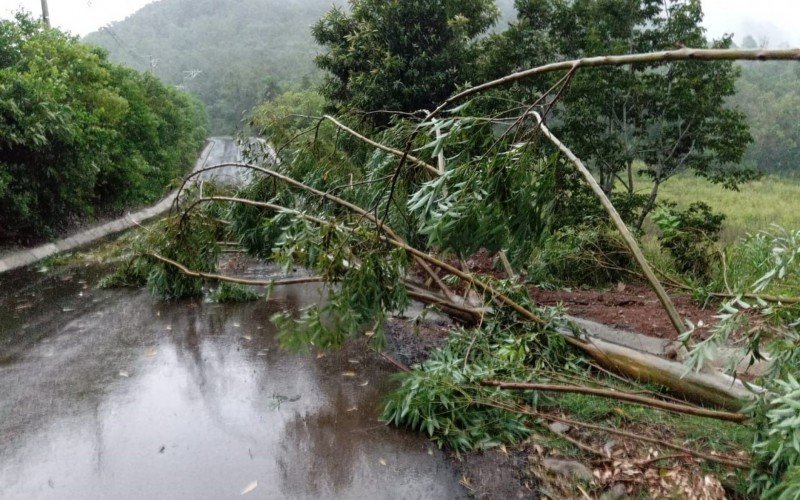 Defesa Civil de Gramado atende ocorrências após chuvas desta quinta-feira 