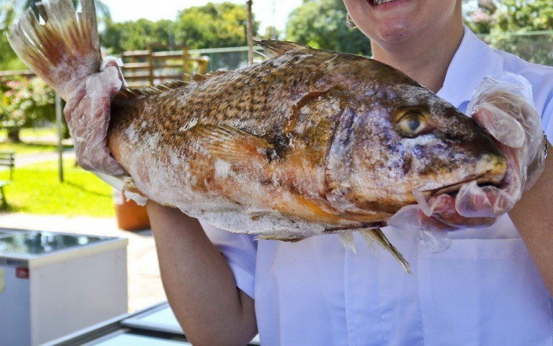 Feira do Peixe de Canoas começa no dia 15 de abril