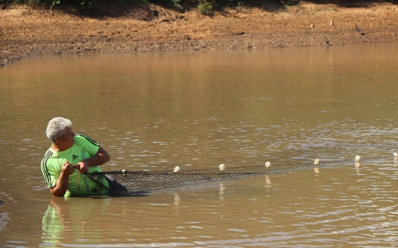 Despesca em Lomba Grande