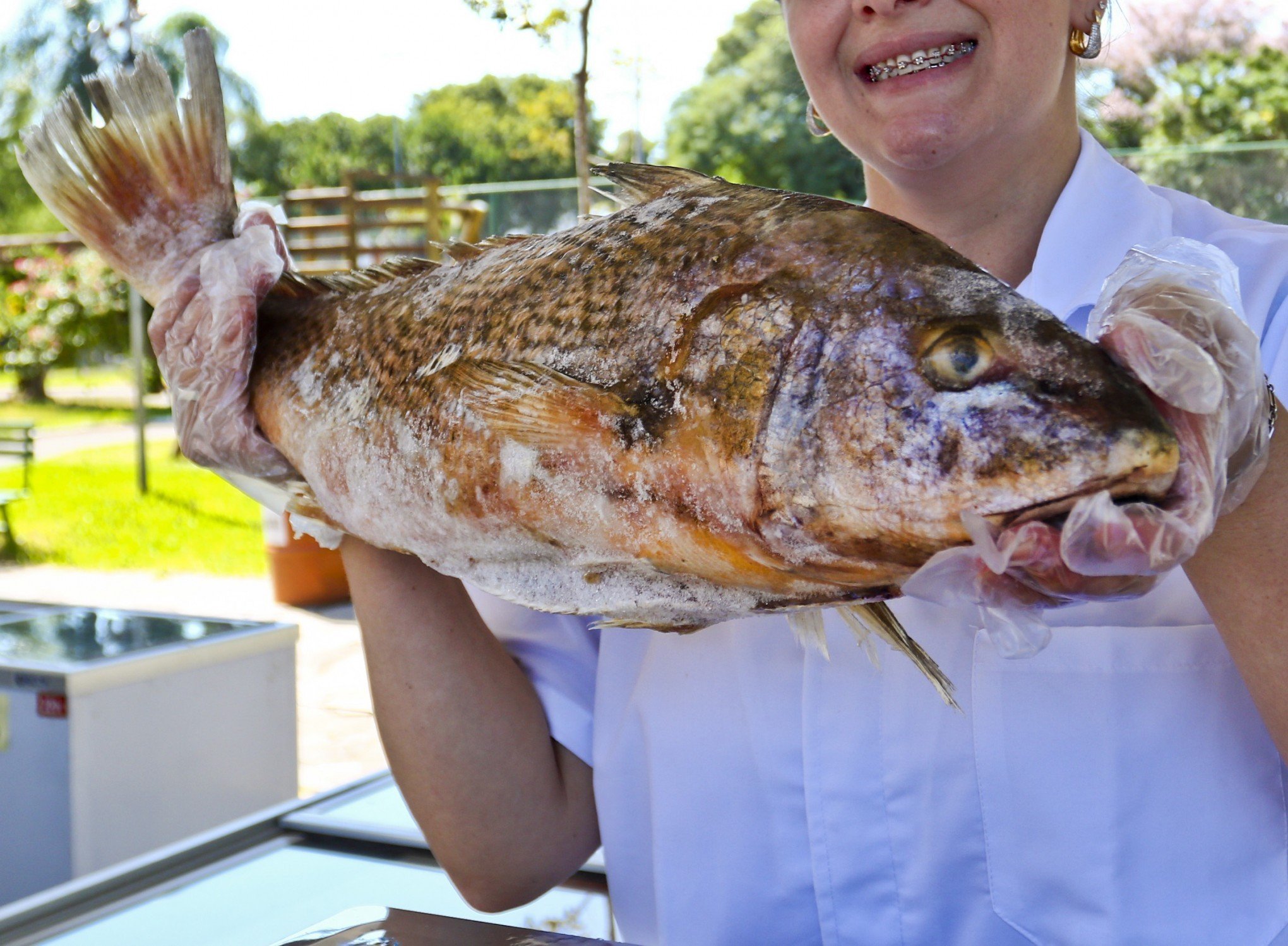 De olho no feriado, Feira do Peixe de Canoas começa no próximo dia 15