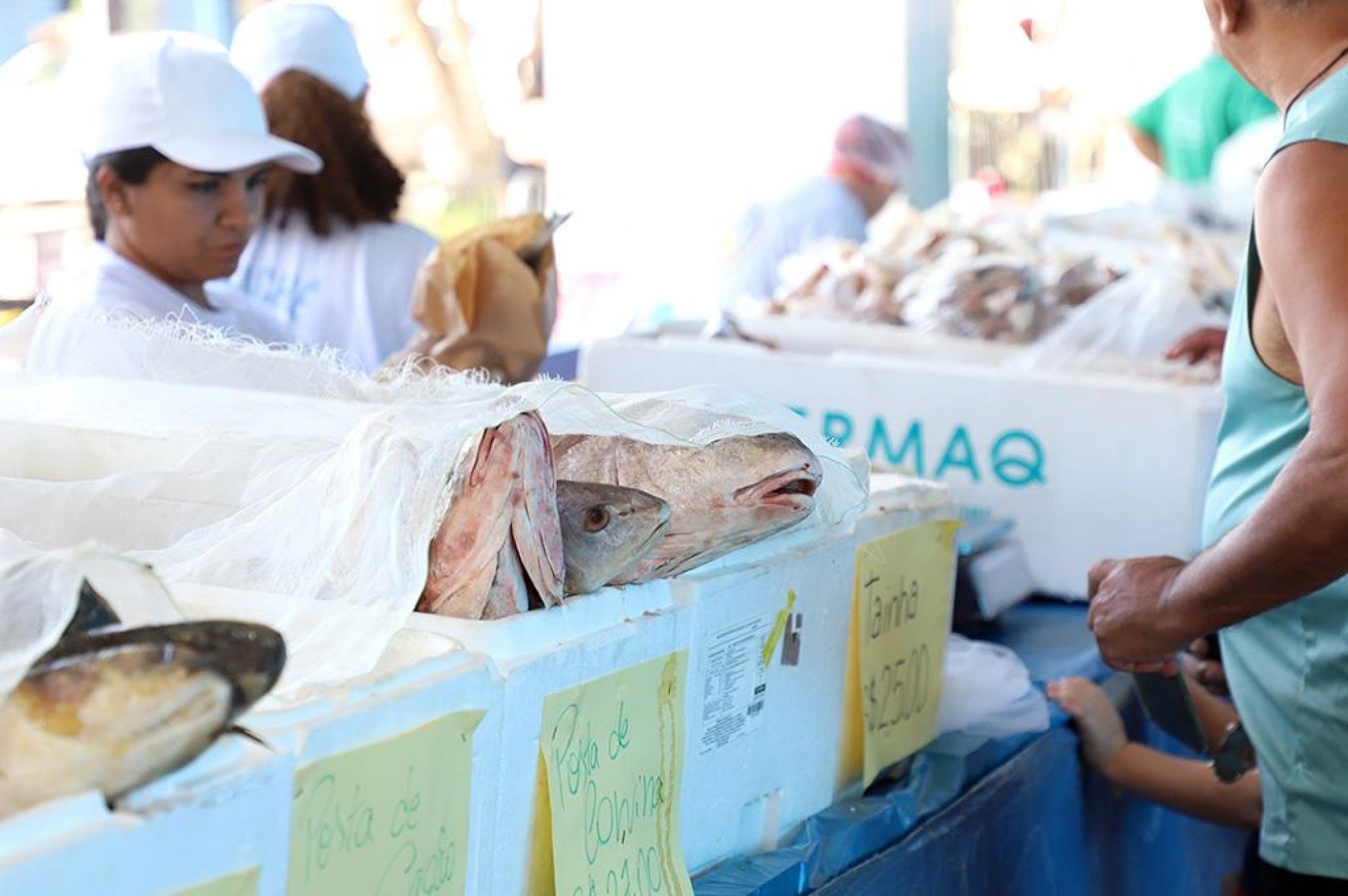 Esteio abre hoje a programação das feiras do peixe na região