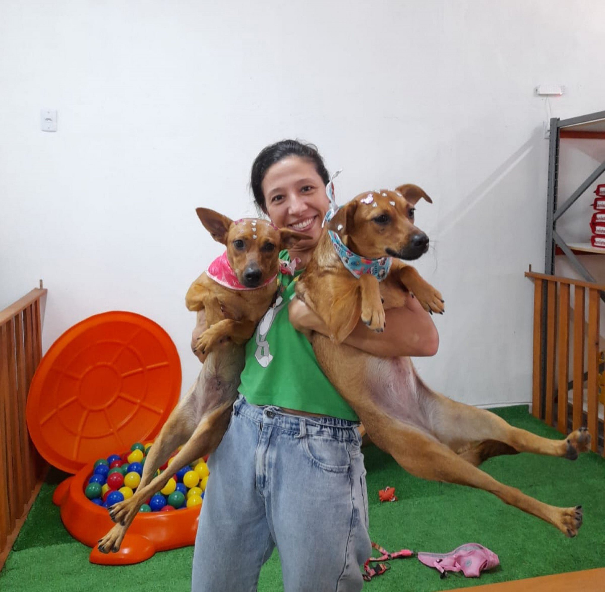 Abril Laranja: campanha foca no bem-estar animal com programação especial em São Leopoldo