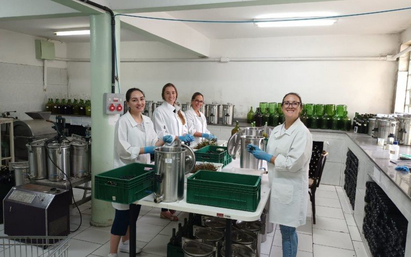 Fernanda, Liese, Rita e Daniele atuam no análise das uvas  | abc+