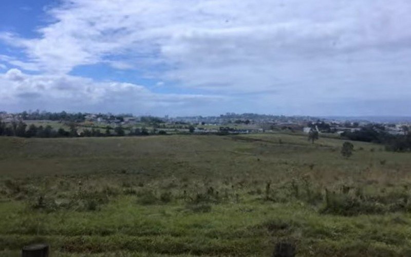 Trecho da estrada Presidente Lucena entre Novo Hamburgo e Estância Velha ainda é cercado de campos | abc+