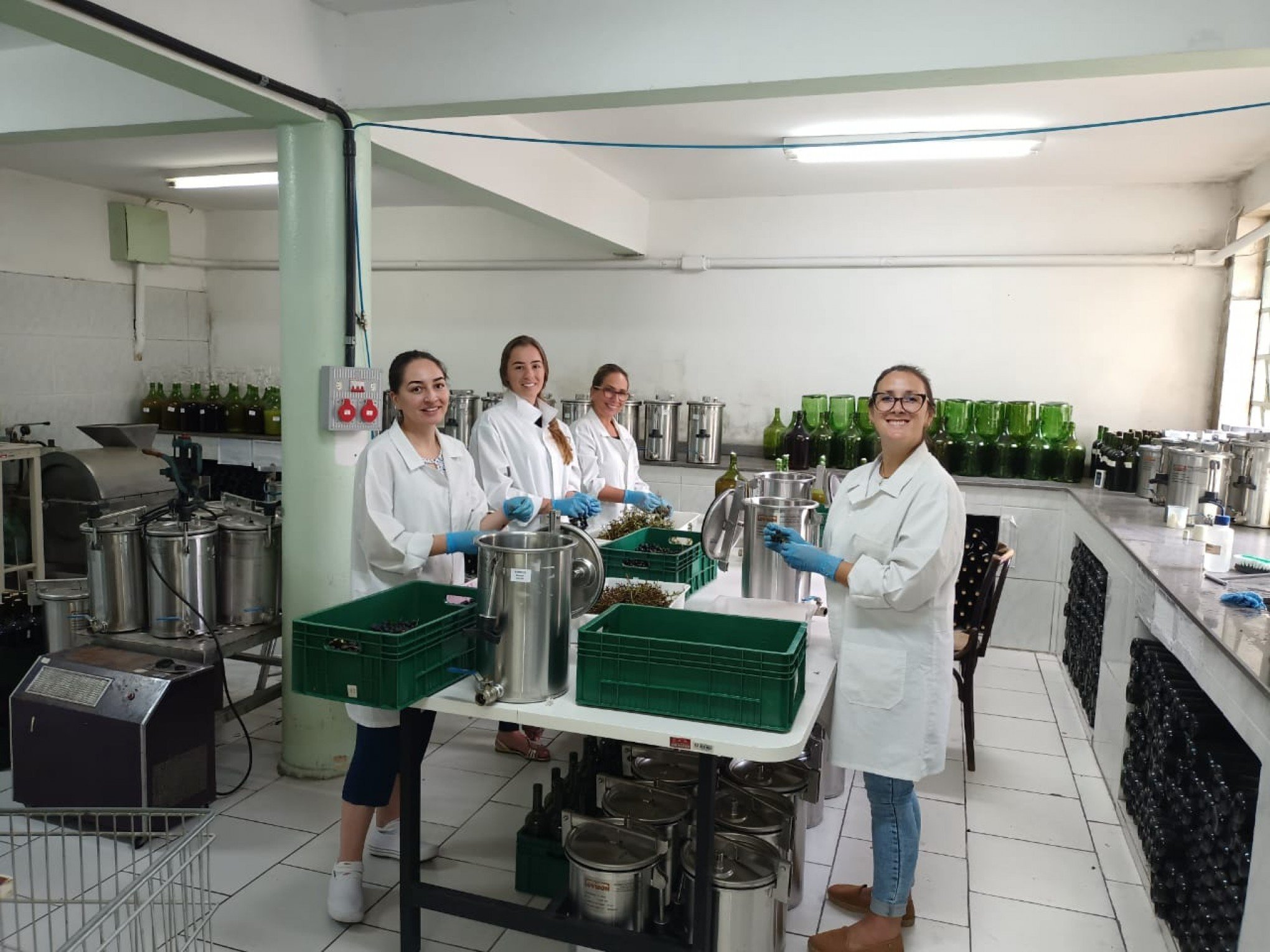 Conheça o trabalho de laboratório que contribui para a qualidade do vinho gaúcho