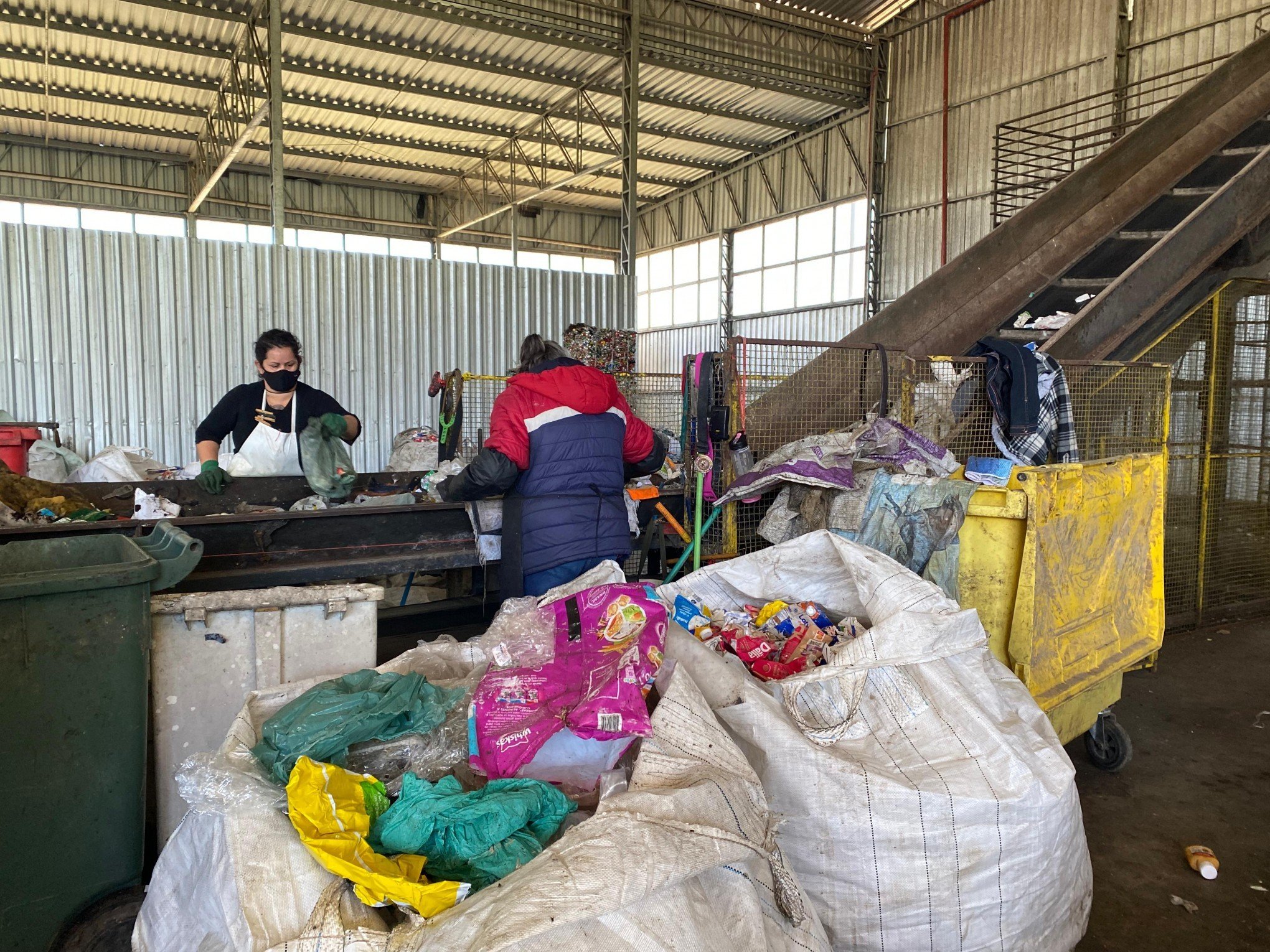 Coleta seletiva avança em Canela com trabalho de cooperativa; confira projeção de economia