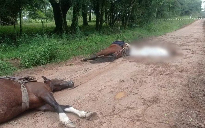 Mortes de jovem e dois cavalos por conta de descarga elétrica em Bagé  | abc+